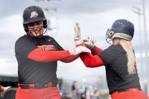 Hawks storm to 29-3 win over Preston in sectional tournament